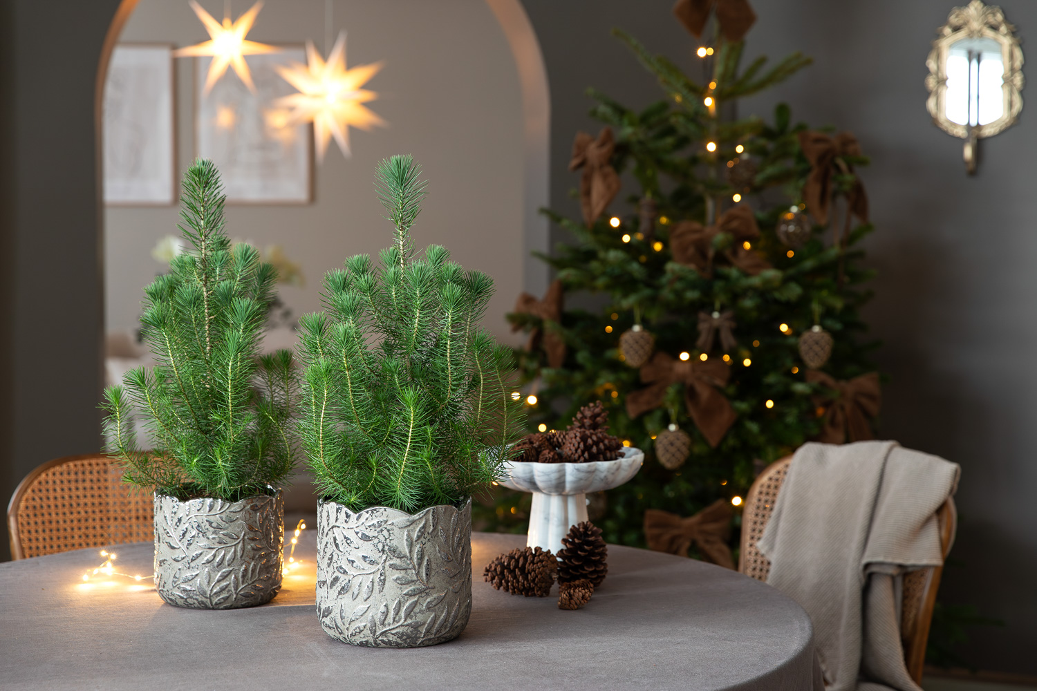 Leaf blomsterpottene med vintergr&oslash;nt